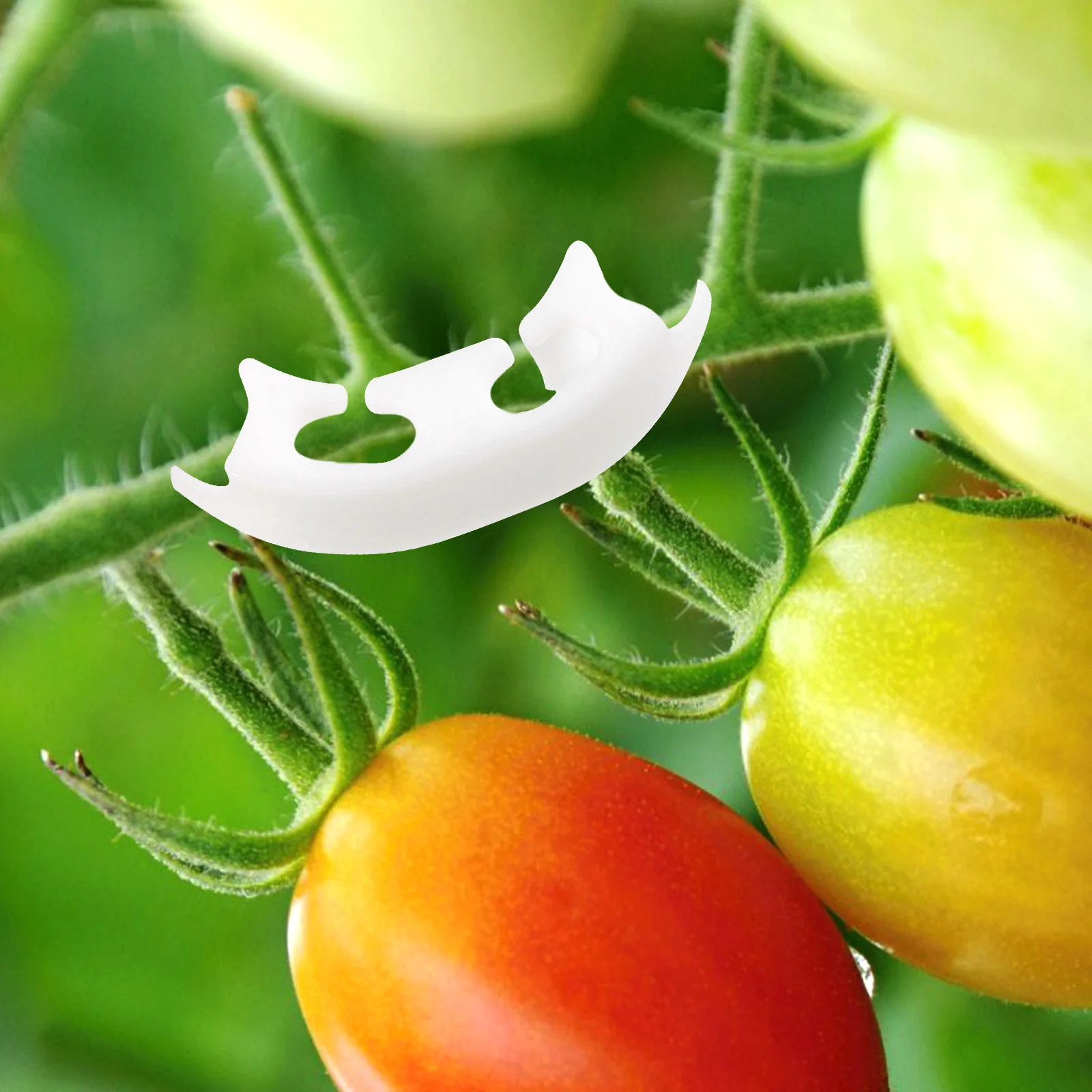 

100pcs Tomato Clips Plant Support Tools Vines Binding Plastic Gardening Trainer Stem Bender Plant Fixing Accessories
