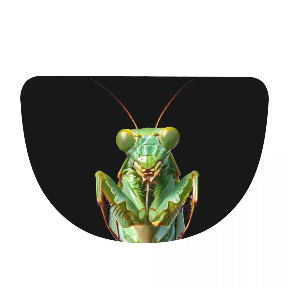 Green Praying Mantis, Eerie Insect Art Soft Flannel Half Round Doormat Non Slip Bathroom Mat Absorbent Floor Carpet for Bathroom