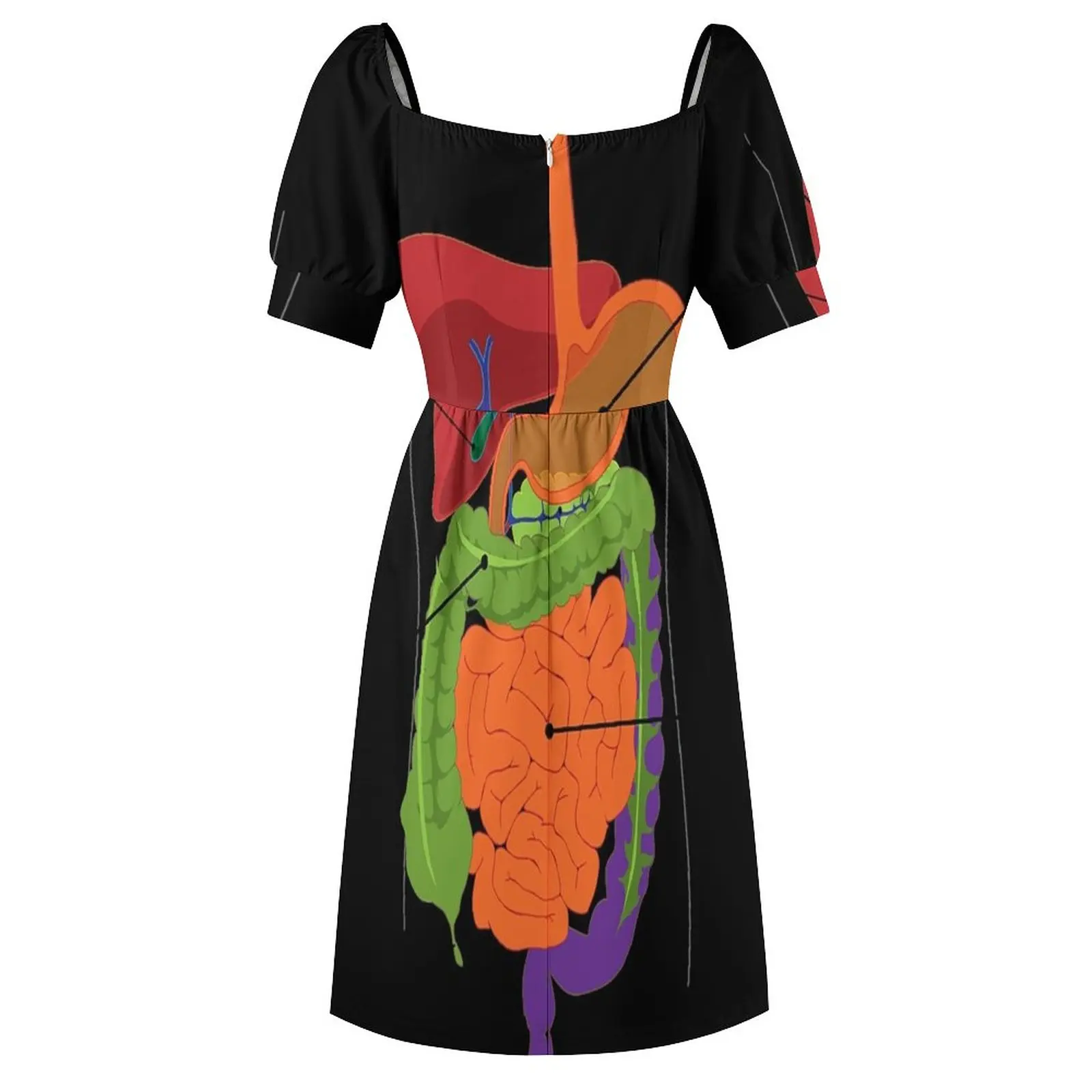 Anatomie T-Shirt-Innen Körper Verdauung Kleid elegante Kleider für Frauen Kleider für Frauen 2023