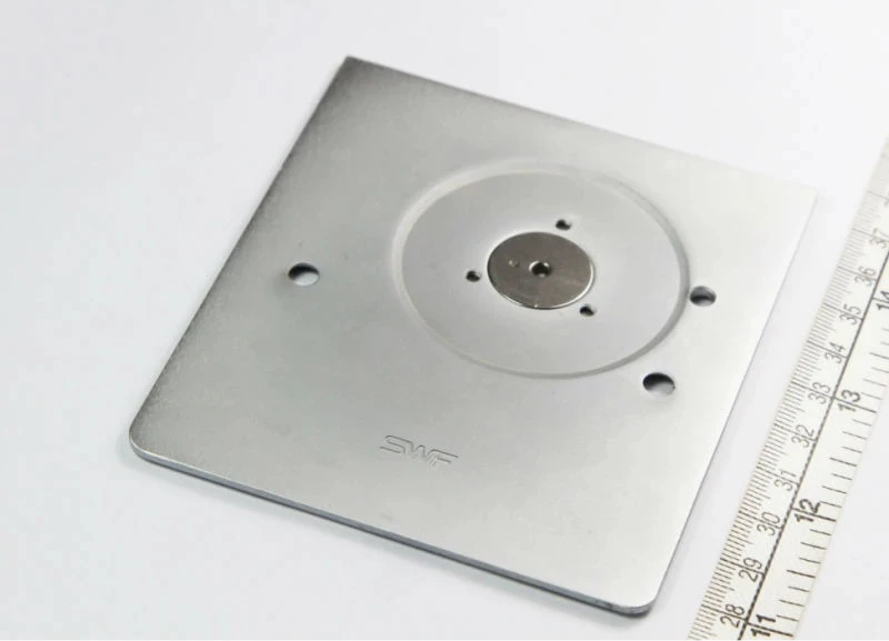 

100% оригинальные детали для вышивальной машины SWF, игольчатая пластина