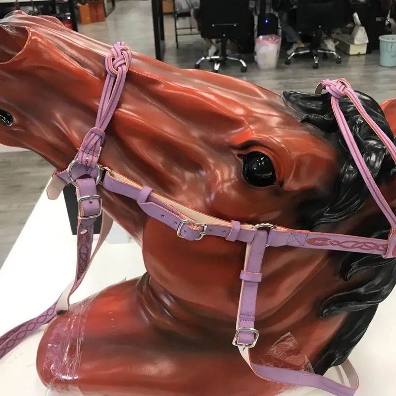 Halter de sécurité coloré pour cheval, licou noué rapide, nylon rembourré, ruisseau et gorge, coloré et confortable