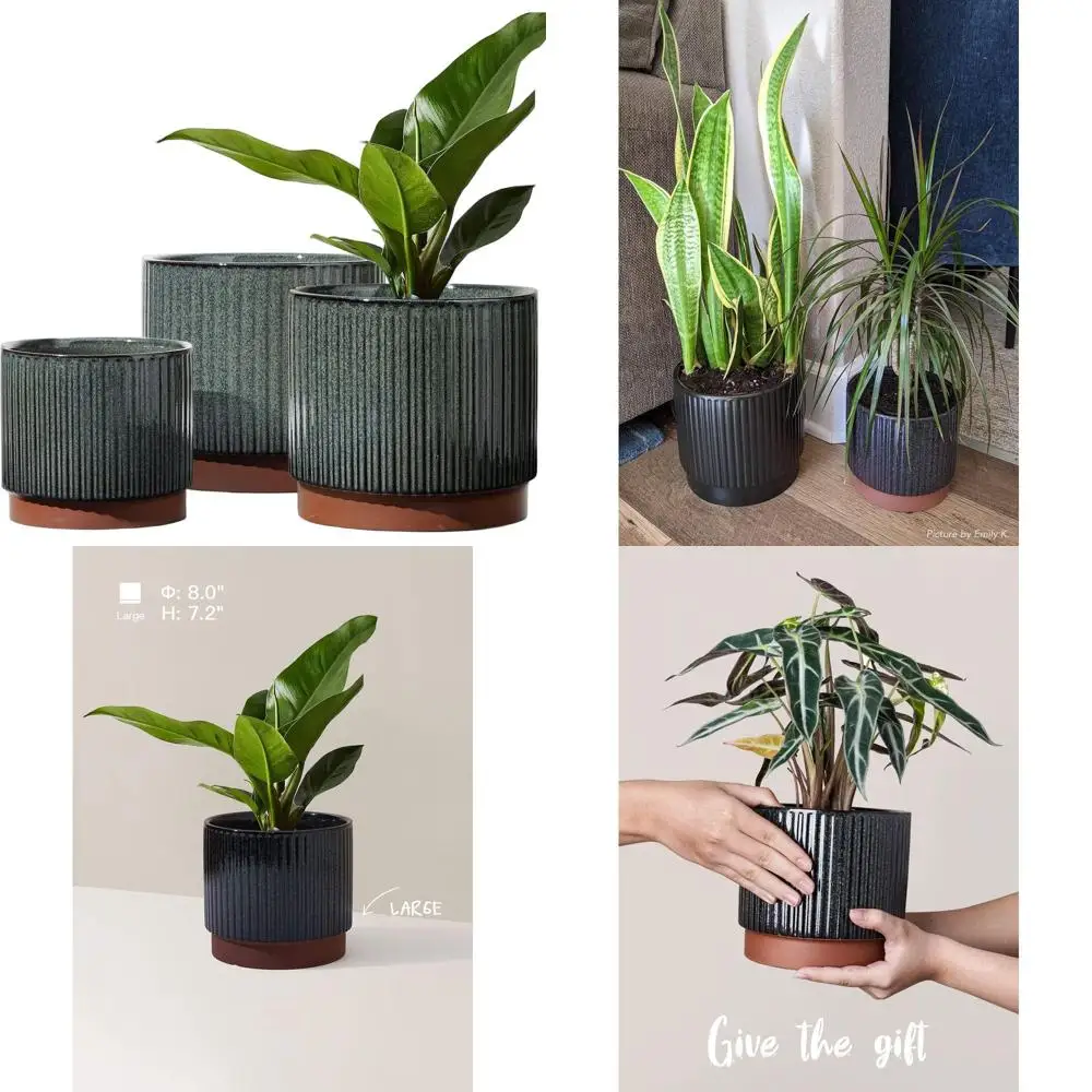 

Набор из 3 полосатых цветочных горшков с дренажем, 8, 6.7, 5.5 дюймов, для комнатных и уличных растений, черная реактивная глазурь