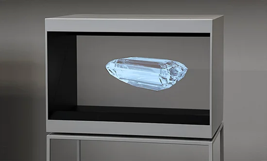 180 Degree 22 Inch 3d Display Hologram 3d Display showcase