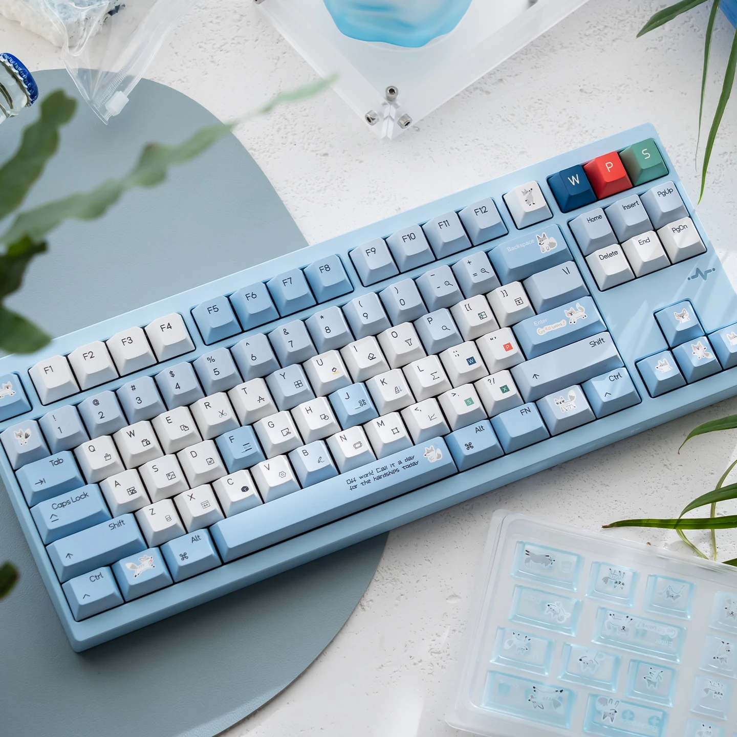 

Original Cute fox Keycaps Dye-Sublimation Cherry Profile PBT Keycap Sets Small Font Keycaps For MX Mechanical Keyboard