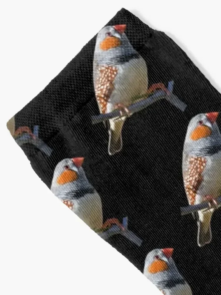 Zebra Finch 5 Socks soccer anti-slip floor essential Socks Men Women's