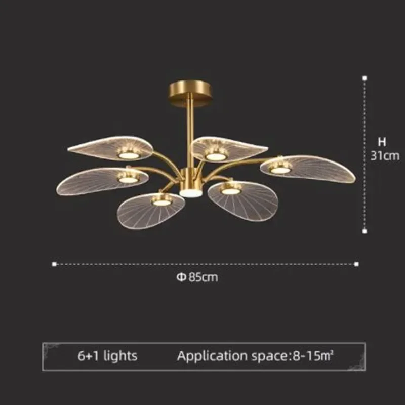 6 Lights
