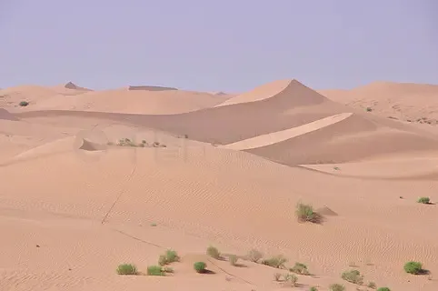 

Бесколлекторный двигатель T-Motor F2004 2004 1700KV 6S / 3000KV 4-5S с длинным валом 1,5 мм для FPV-дронов и гоночных квадрокоптеров 3-5 дюймов