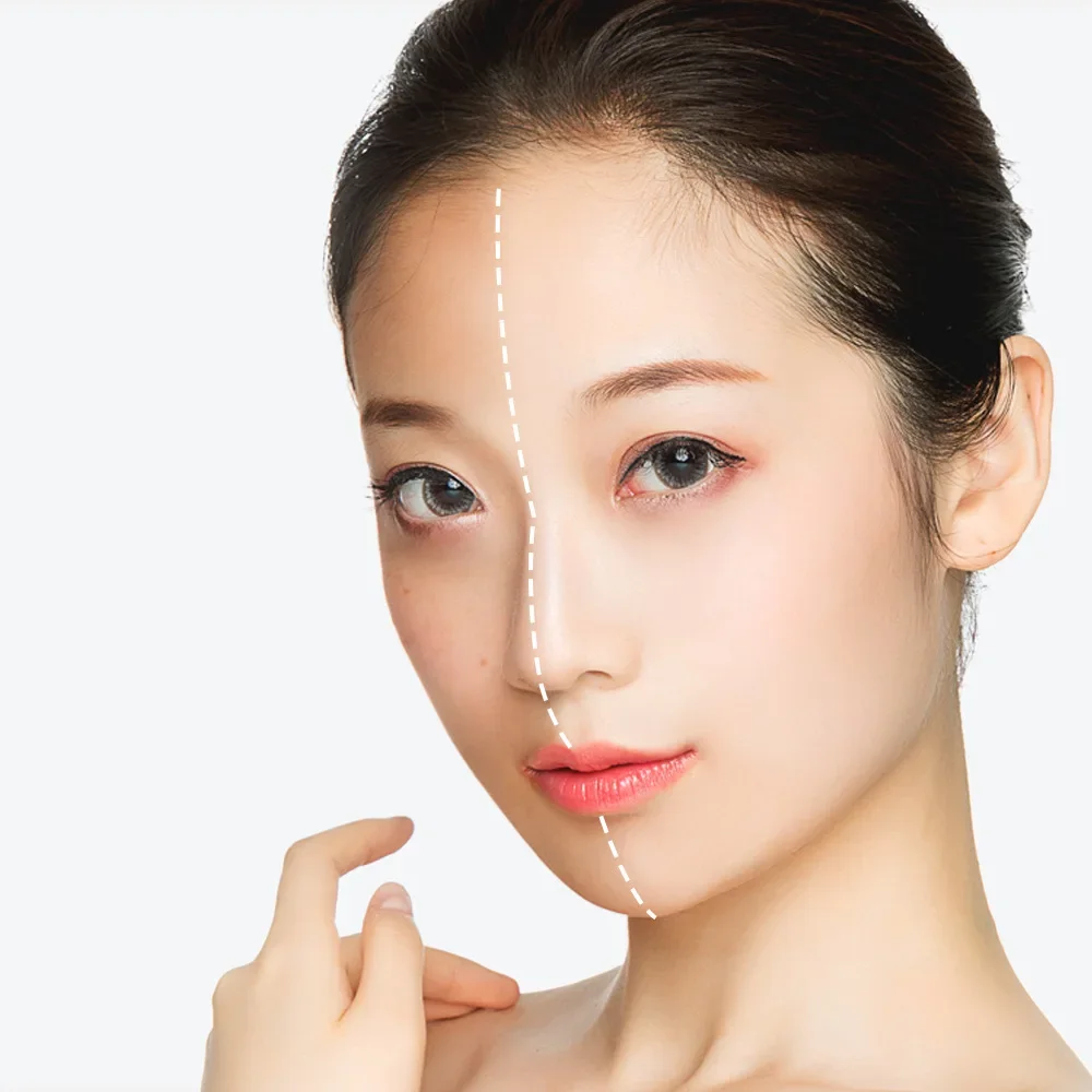 HANCHAN Snail Extract Face Cream Skin Care Concealling Whitening Moisturizing Day Cream Anti-Aging Anti-Wrinkle 50g