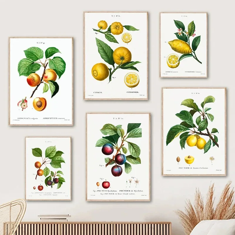 

Vintage citrus lemon fruit plant dining room sofa background wall decorative canvas painting