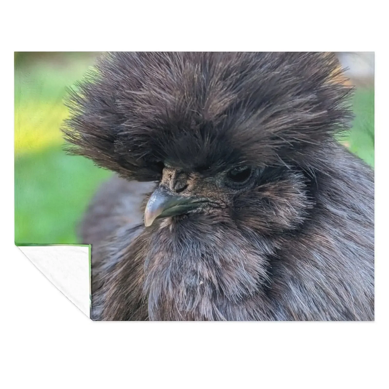 

Black Silkie Chicken, Cute Silkie Close Up Throw Blanket Picnic Thin Sofa Flannel Blankets