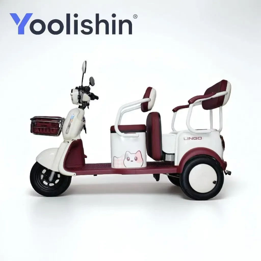 

Электрический пассажирский трехколесный велосипед, одобренный EEC, для городского транспорта