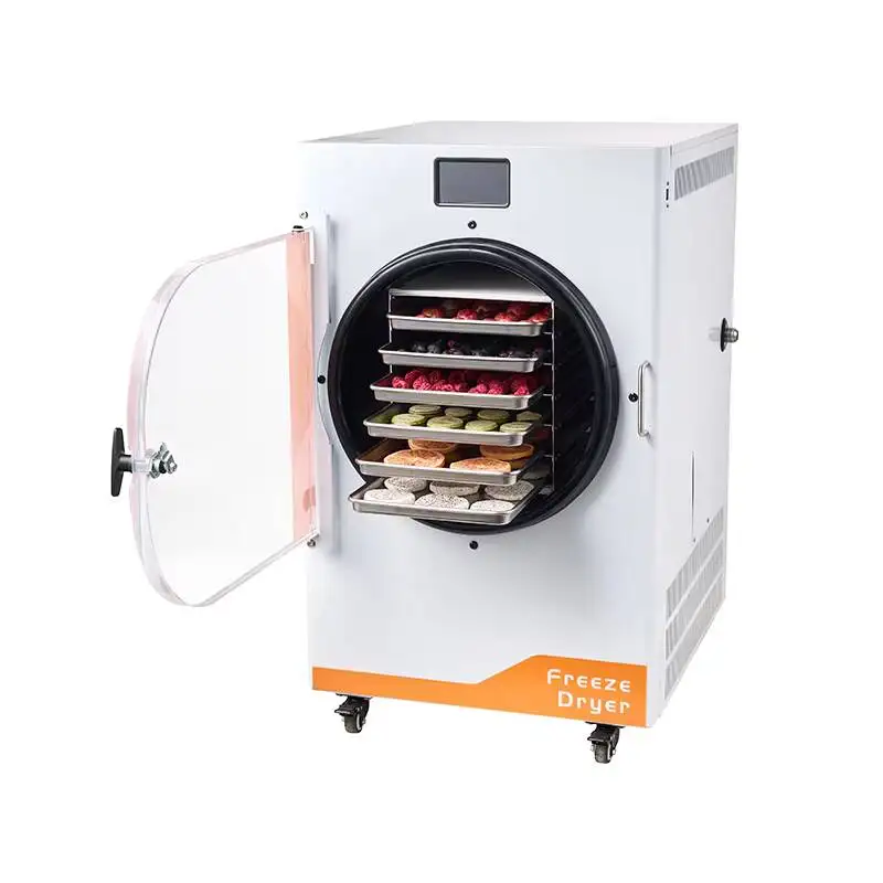 

8-10Kg Automatic Dryer For Food Processing Medium Drier With Pump Freeze Drying Equipment