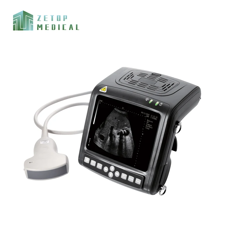 Full Digital B Mode Ultrasonic Diagnostic Instruments Veterinary Ultrasound