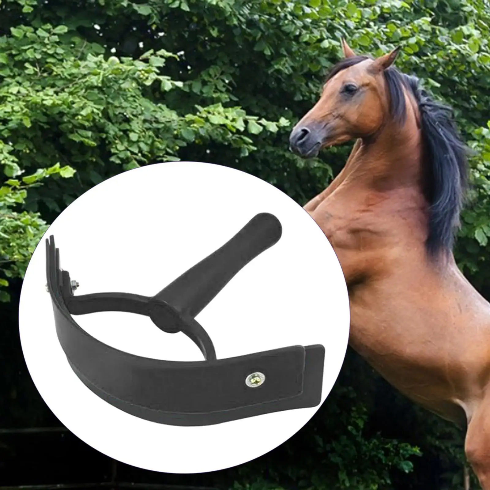 

Horse Sweat Scraper Shaving Grooming Animal with Handle Farm Supplies