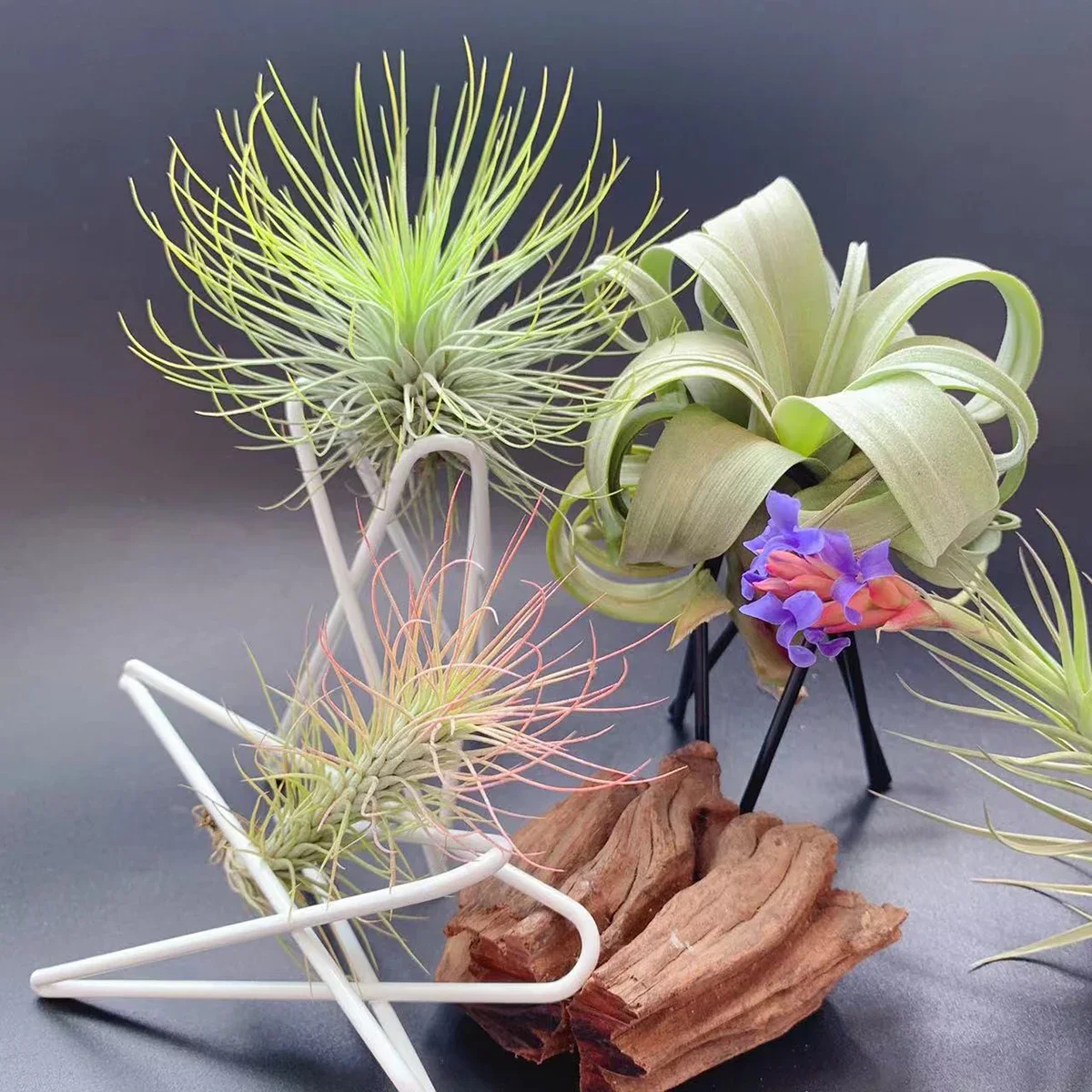 1pc/3pcs-European Style Simple Mini Desktop Flower Rack, Flower Pot Rack, Multi-functional Iron Art Flower Rack