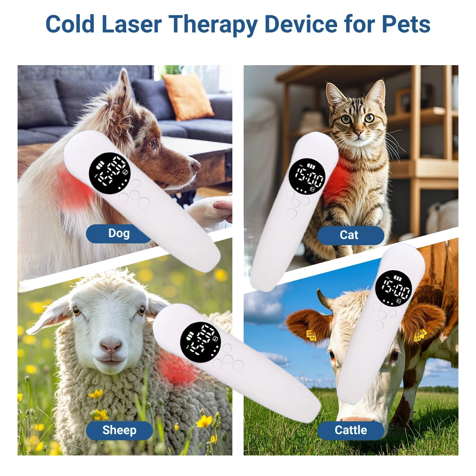 다기능 동물 회복 장치 EMS & LLLT (650nm/808nm) 빠른 골절 치유 및 관절 통증 관리