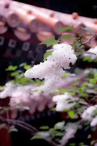 Stainless Steel Front and Rear Chassis Armor Protector for Tamiya XV-02 Pro XV02 58707 1/10 RC Car Upgrades Parts