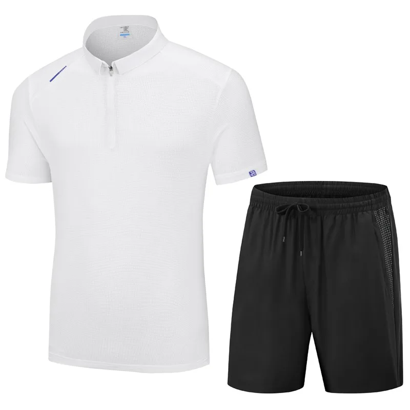 

Men's 2 Piece Sports Set Half Zip Polo Shirt Shorts Ice Silk Quick Dry Summer Casual Running Workout Outfit