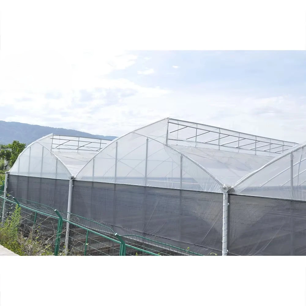 Sawtooth Multi-Span Agricultural PE Film Greenhouse Natural Ventilation Tropical Crop House Serre Agricole Invernadero
