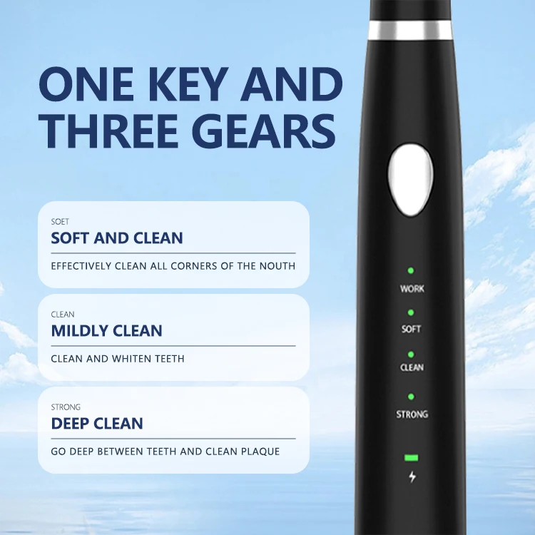 Hot Sale Cleaning Kit Machine Dental Electric Home Plaque Remover Sonic Plaque Remover Tandsteen Remover Tandreiniger