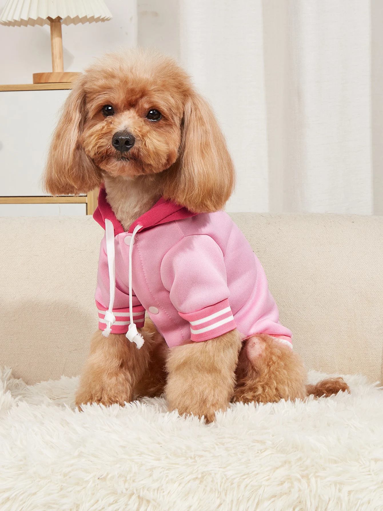 Pet clothes dog cat jacket warm and comfortable clothes with butterfly print pink new style