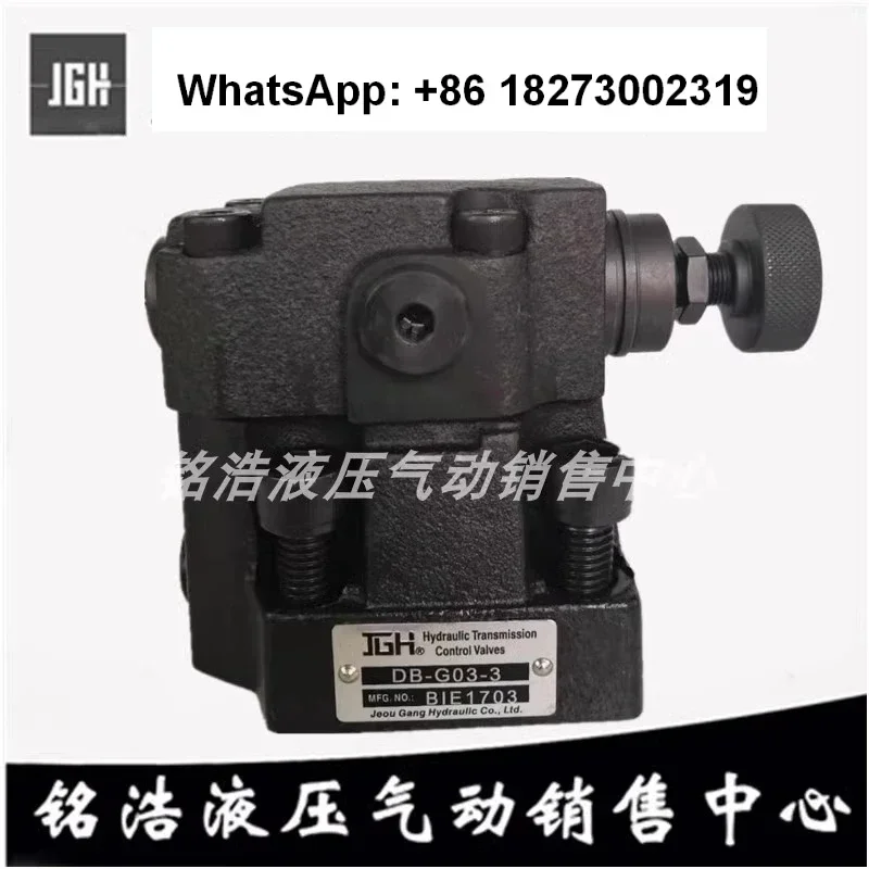 Taiwan JGH Pilot Relief Valve DB-G06-3 DB-G06-2 DB-G10-3 DB-G10-1/2