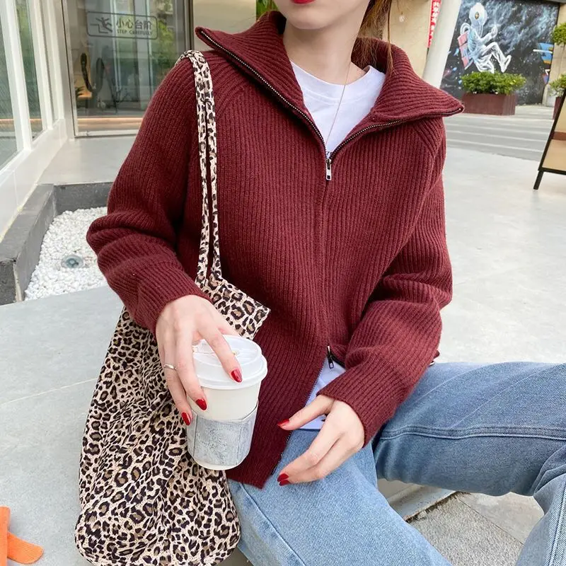 Cardigans Women Baggy 6 Colors Ulzzang Solid Zip Simple Designed Students Sweet Warm Knitted Harajuku Lapel BF Popular All-match