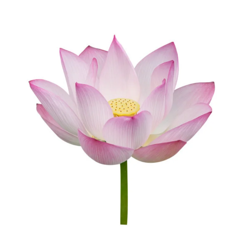 

Metal Radio Device Receiver Box Wire Cover 7724 for Trxs 1/5 X-MAXX 6S 8S 1/6 XRT 8S RC Car Upgrade Parts