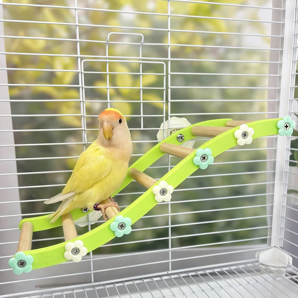 Escada de Escalada para Papaga - Plant Parenthood avaliação e preço