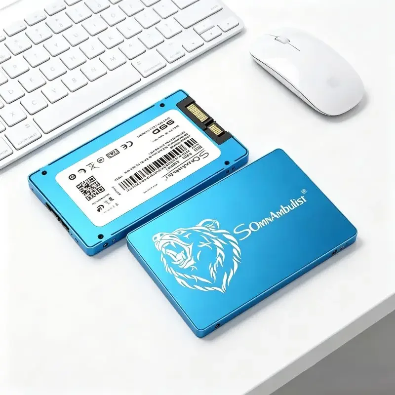 

Multiple Capacity Selections Available on Rapid SomnAmbulist 2.5 SATA3 SSD, Stable Built-in Storage for Home and Office Desktop