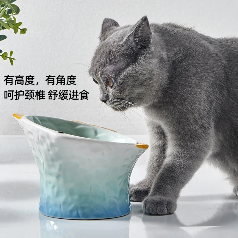 DSA kitten bowl ceramic kitten eating utensils protect the cervical spine eating basin cat food bowl colorful fish series