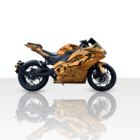 Top Speed 150km/h 100MPH Mid Chain Motor 3000W 4000W 5000W 10KW Electric Motorcycle For Adult