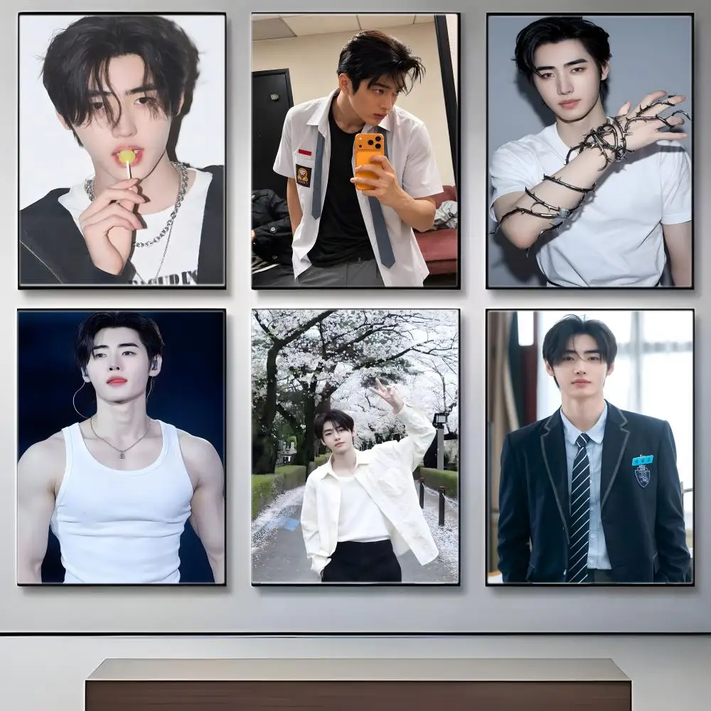 Kpop Idol P-Park S-Sunghoon Poster  Self-adhesive Art Waterproof Paper Sticker Coffee House Bar Room Wall Decor - view 3