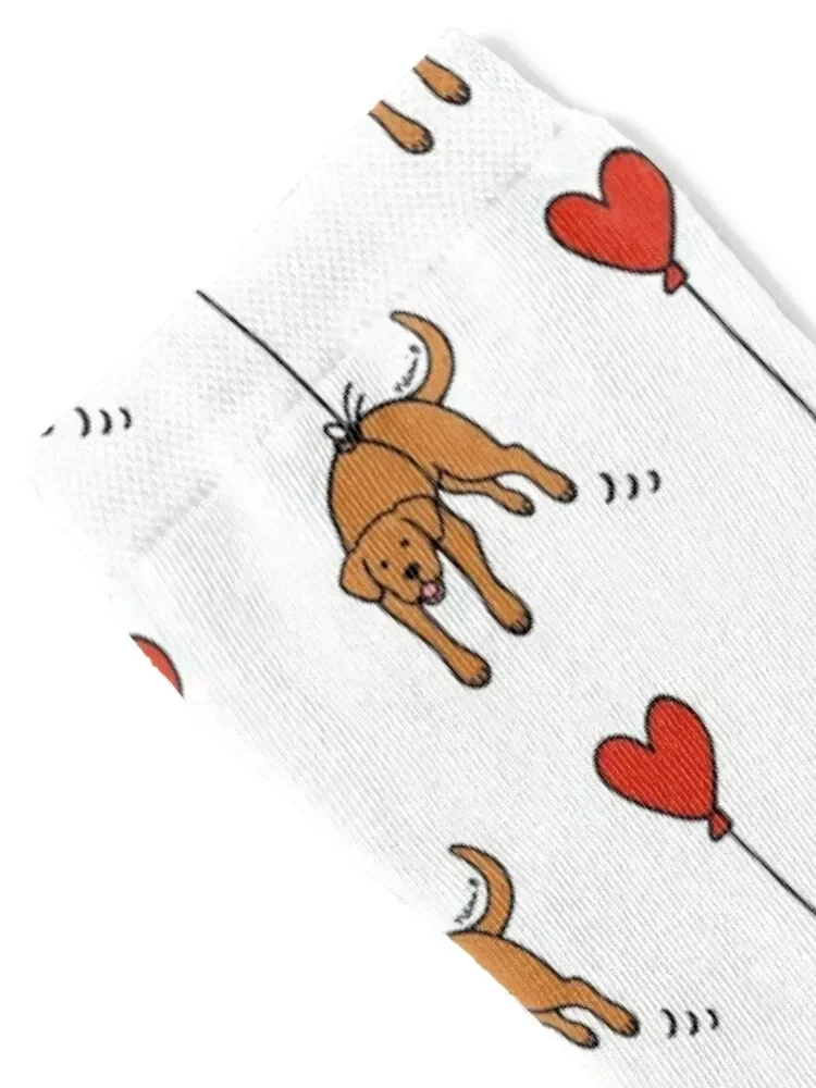 Fox Red Labrador Floating in the Air Socks New year's soccer anti-slip Socks For Women Men's