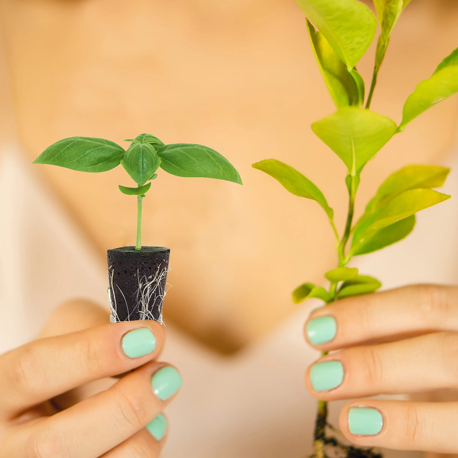 

12 Pcs Seedling Block Gardening Supplies Plants Hydroponics Nutrient Soil 45 Peat Substrate Easy Transplanting Biodegradable