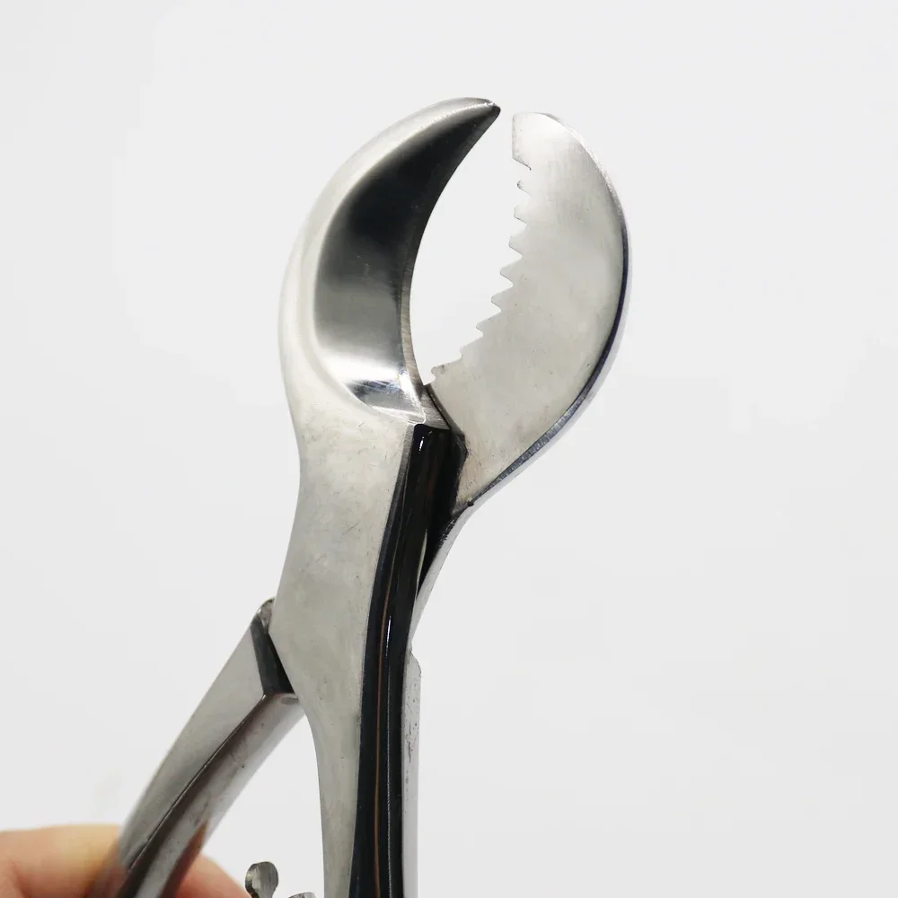 

Stainless Steel Dental Plaster Scissors Gypsum Scissors Dentistry Material Plaster Cutter Dental Lab Equipment