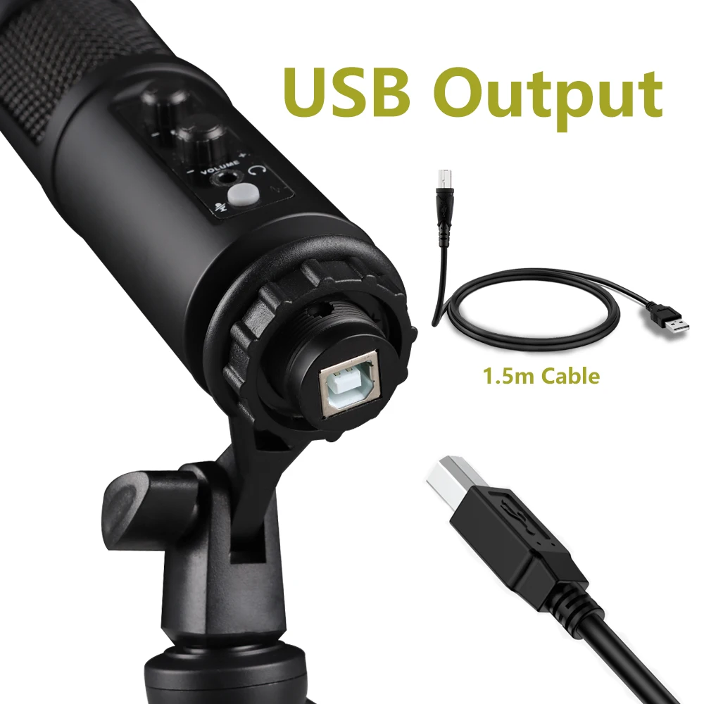 USB Condenser Recording Microphone for PC Laptop Recording Streaming Gaming Singing, Echo Controlled Desktop Mic 850RGB