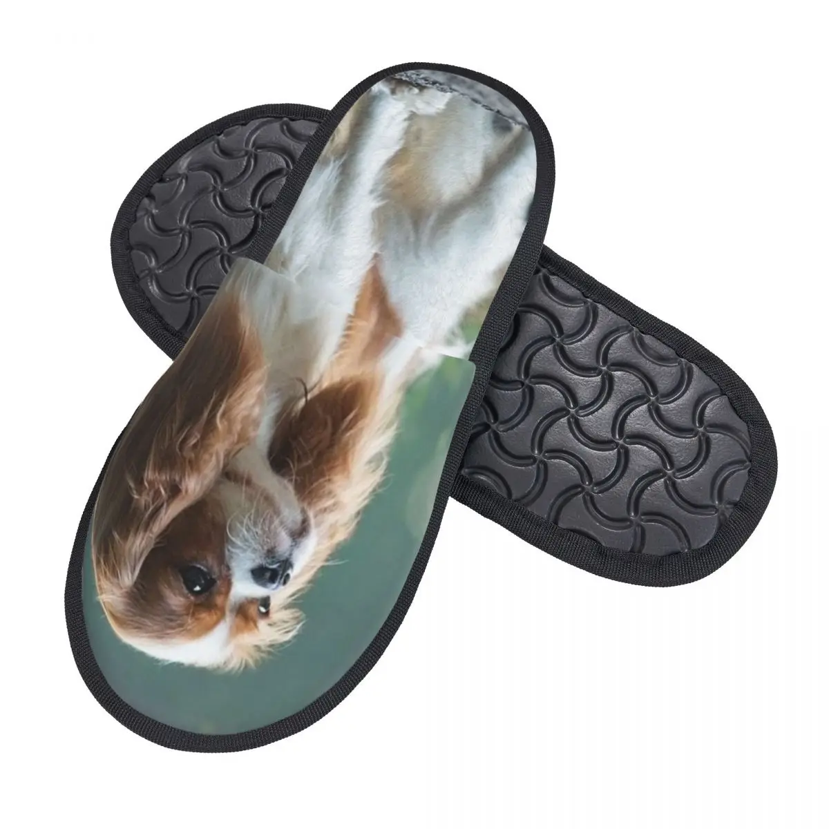 Cavalier King Charles Spaniel Dog House Slippers Women Cozy Memory Foam Slip On Bedroom Slipper Shoes