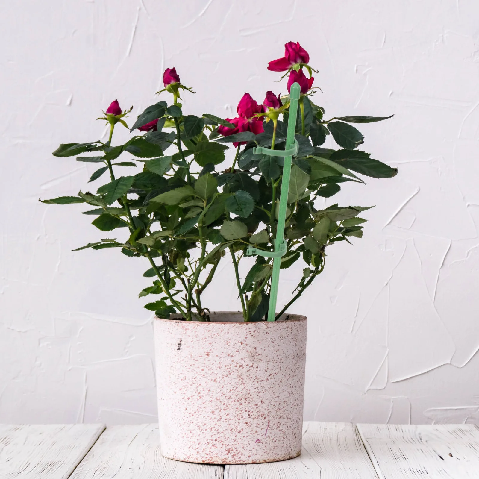 50pcs Lightweight Tall Plant St Indoor Reusable Plastic Flower Rack Plant Frame Climbing Frame chid St