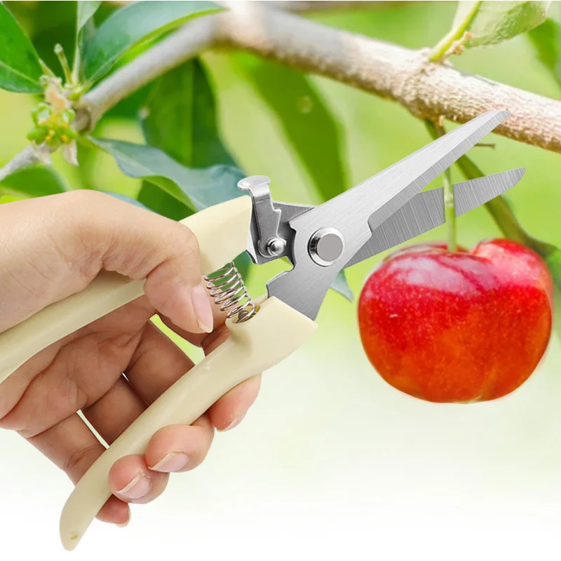 2Pcs Garden Scissors Pruner Fruit Tree Pruning Shears Hand Gardening Grafting Tool Powerful Trimmer Applied to Flowers Branches