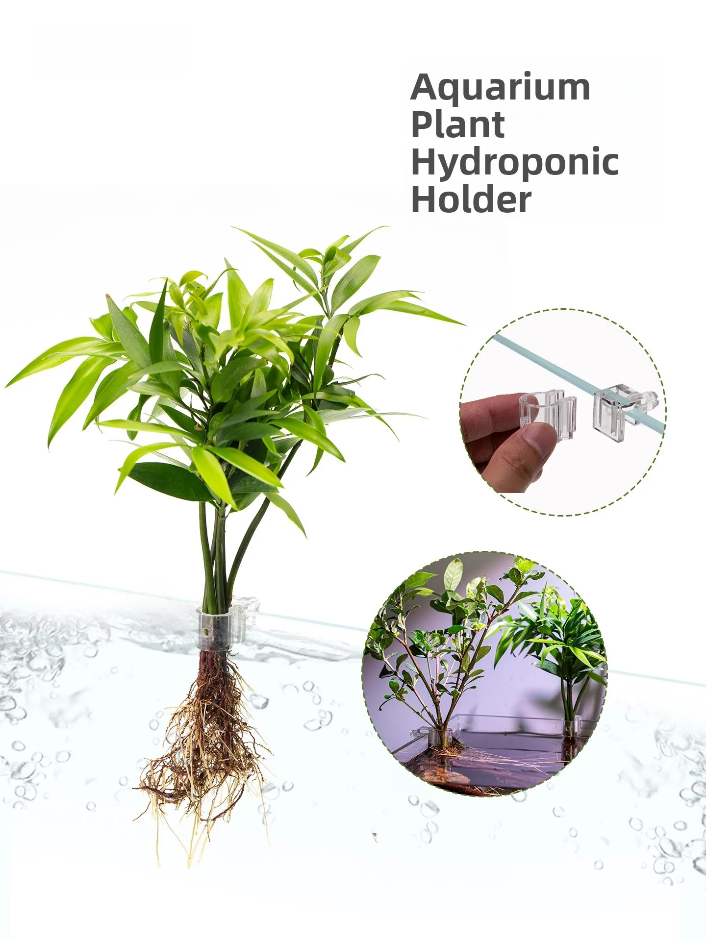 Acrylic Aquarium Pl…