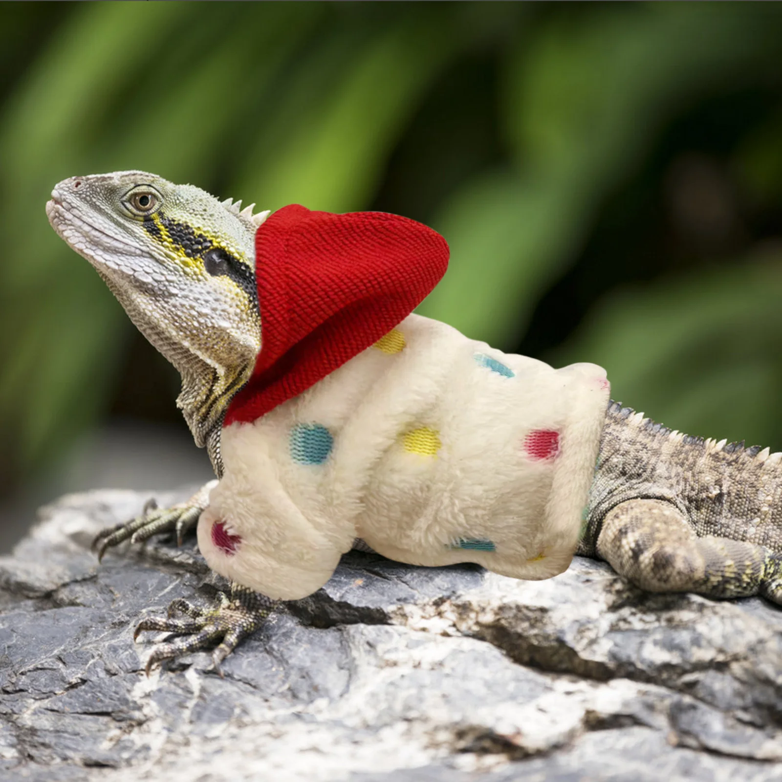 

Bearded Dragon Costume Reptile Apparel Cotton Sweater Coat Handmade Lizard Clothing Comfortable Breathable Easy to