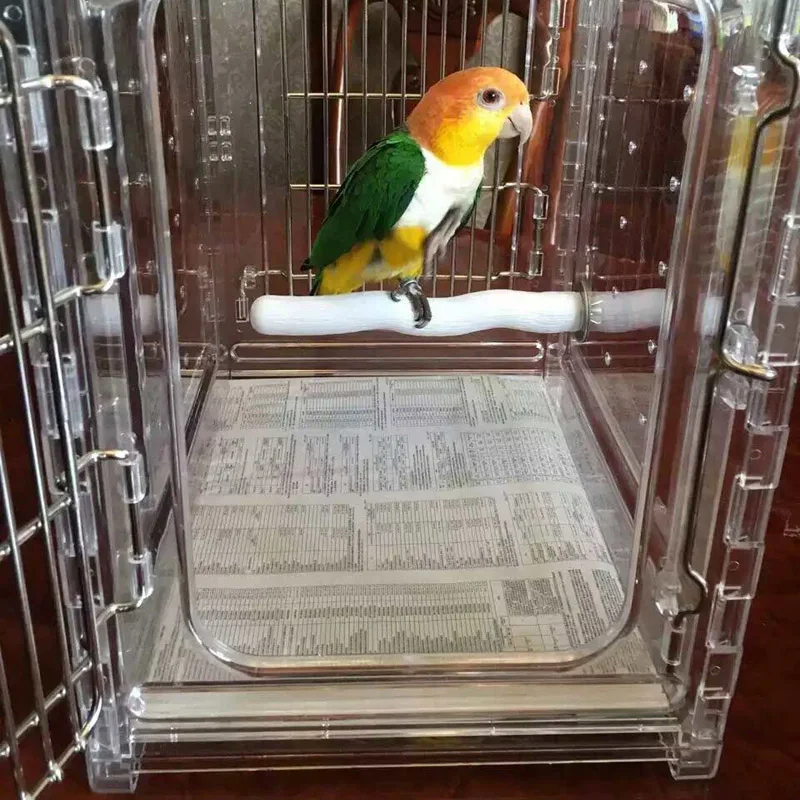 Acrylic Transparent Bird Cages Outdoors Portable Canary Budgie Bird Cage House Breeding Decoration Vogelhaus Pet Products WZ50BC