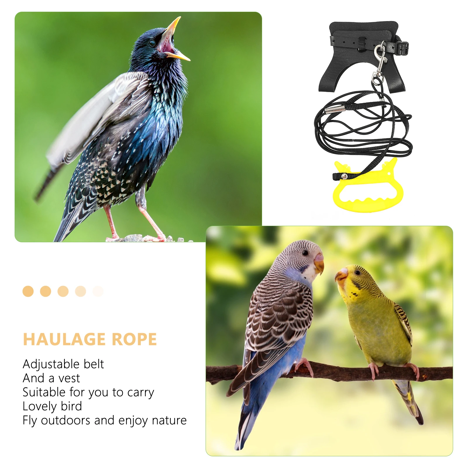 

Parrot Flight Vest Adjustable Bird Harness Leash for Birds Training Traction Rope Cockatiel Parrots