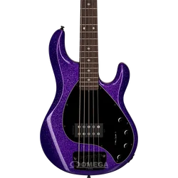 Custom 5 string electric guitar bass ,bong bass Purple silver powder particles Roasted maple neck ebony fingerboaractive battery