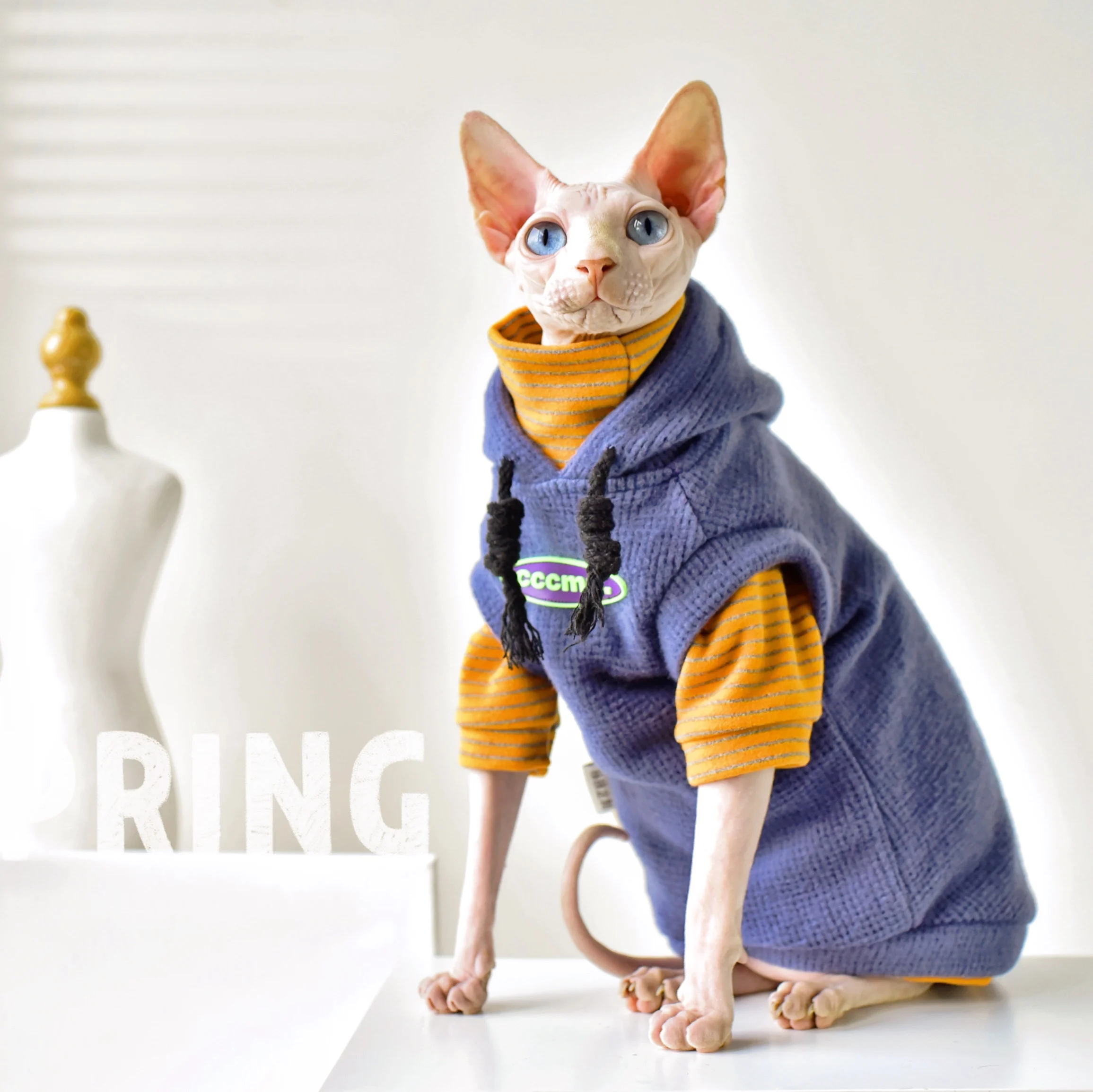 

Sweater Cotton Spring And Autumn Suit Warm Yonghe Sphinx Hairless Cat Clothes German Clothes Cat Clothes Cat Outfitscustomizable