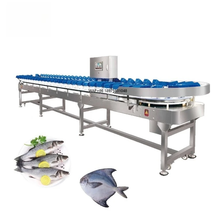 High Efficiency Slaughtering Equipment for Chicken Leg Claws Fish Weight Sorting Machine Steel Slaughter Line  Automatic