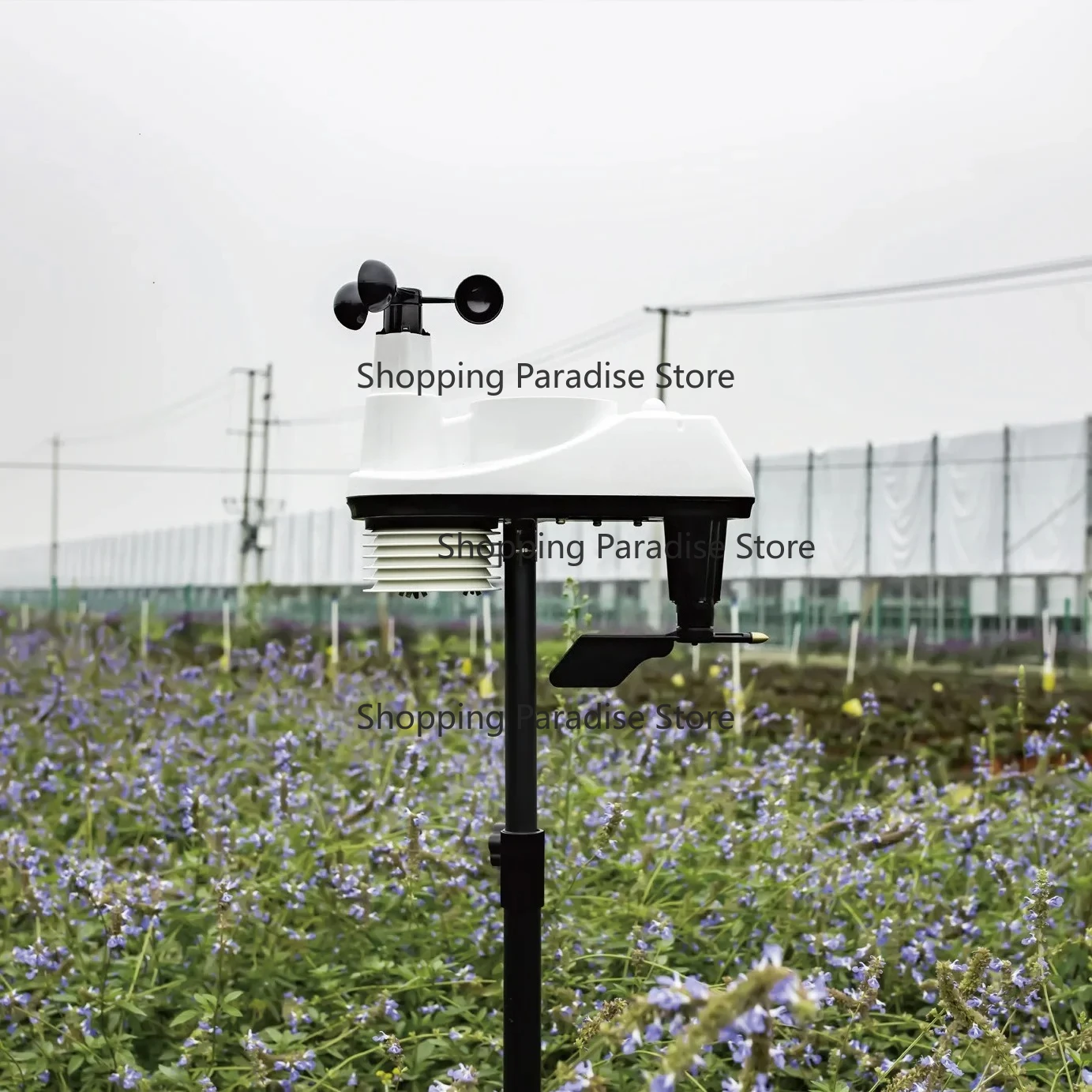 Professional Weather Station with Wind Speed Direction Forecast and Barometer for Home Wireless Weather Station