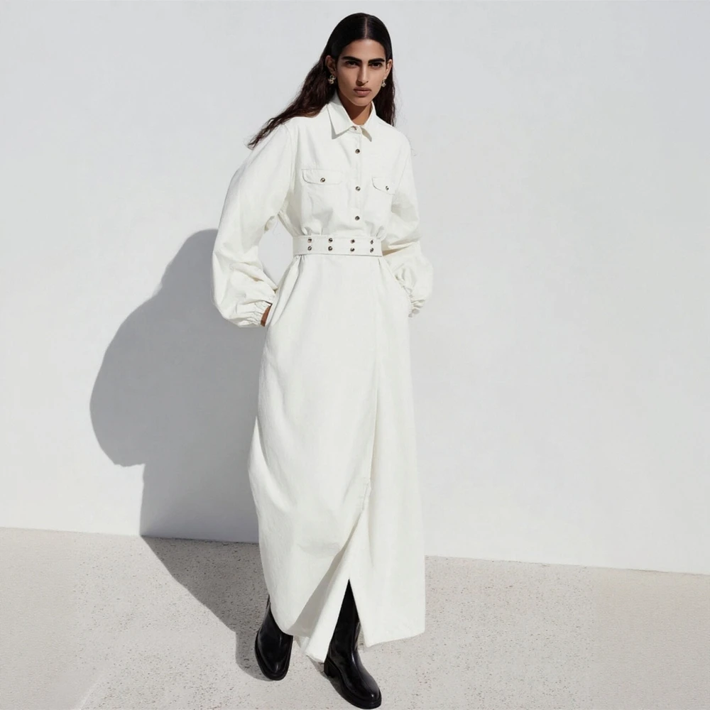 Women's Elegant Long Sleeve Shirt Collar Dress Basic Solid Color Fitted Waist Office Lady Dress