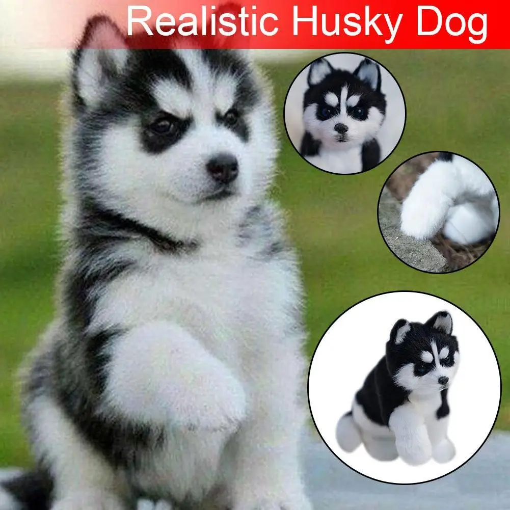 Realistisch Husky Hond Simulatie Speelgoed Hond Puppy Levensechte Gevulde Metgezel Speelgoed Hond Knuffels Simulatie Pop